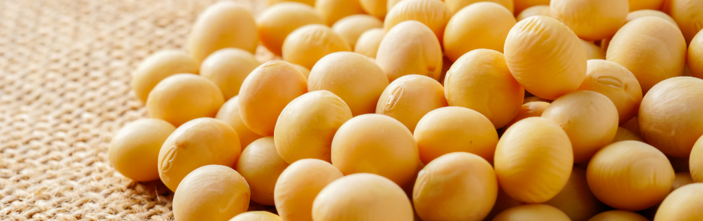 U.S. Begins Antidumping & Countervailing Duty Investigations on Indian Soybean Meal