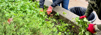 Building a Culture of Sustainability & Giving