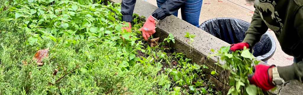 Building a Culture of Sustainability & Giving
