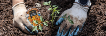 Mohawk Global Receives 2025 TMSA Purpose Award for Transformative Commitment to Community & Sustainability