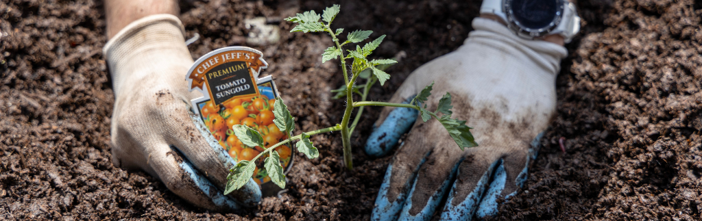 Mohawk Global Receives 2025 TMSA Purpose Award for Transformative Commitment to Community & Sustainability