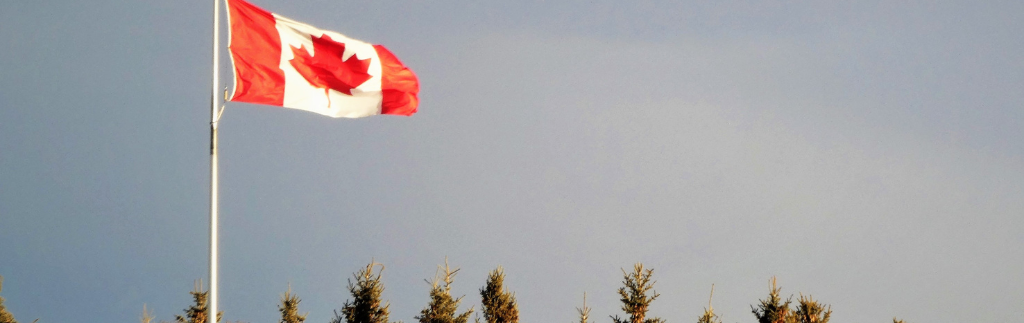 New US Import Restrictions and Tariff Changes Affect Certain Canadian Goods